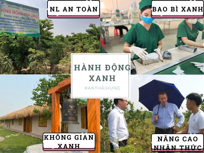 Hành động thực tế của An Thái Hưng trong định hướng tầm nhìn xanh 