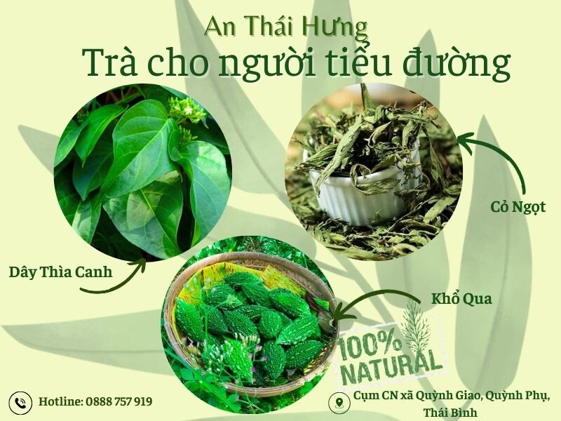 Thành phần nổi bật của Trà Tiểu Đường An Thái Hưng 