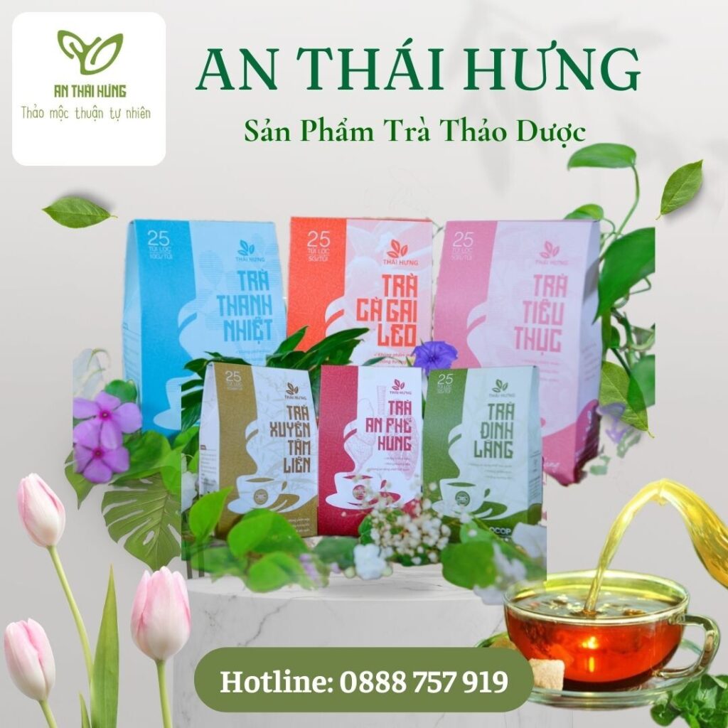 Sản Phẩm Trà Thảo Dược của An Thái Hưng