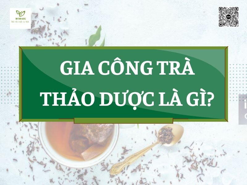 Gia Công Trà Thảo Dược Là Gì? 