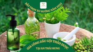 gia công dầu gội thảo dược tại An Thái Hưng