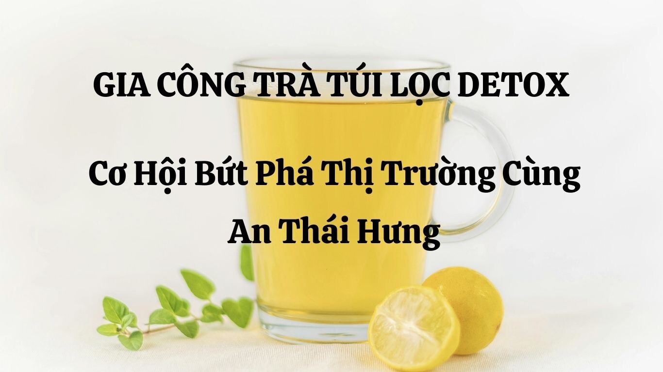 Gia Công Trà Túi Lọc Detox – Cơ Hội Bứt Phá Thị Trường Cùng An Thái Hưng