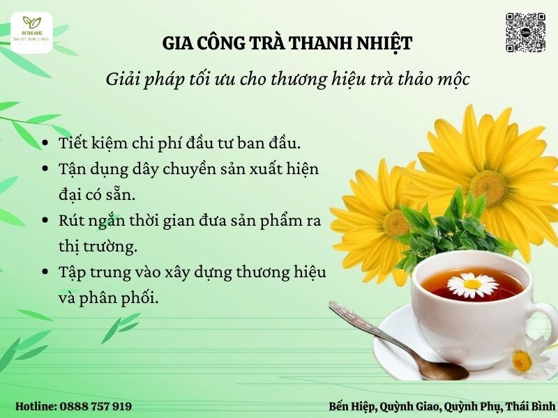 Gia công trà thanh nhiệt - giải pháp tối ưu cho thương hiệu thảo mộc